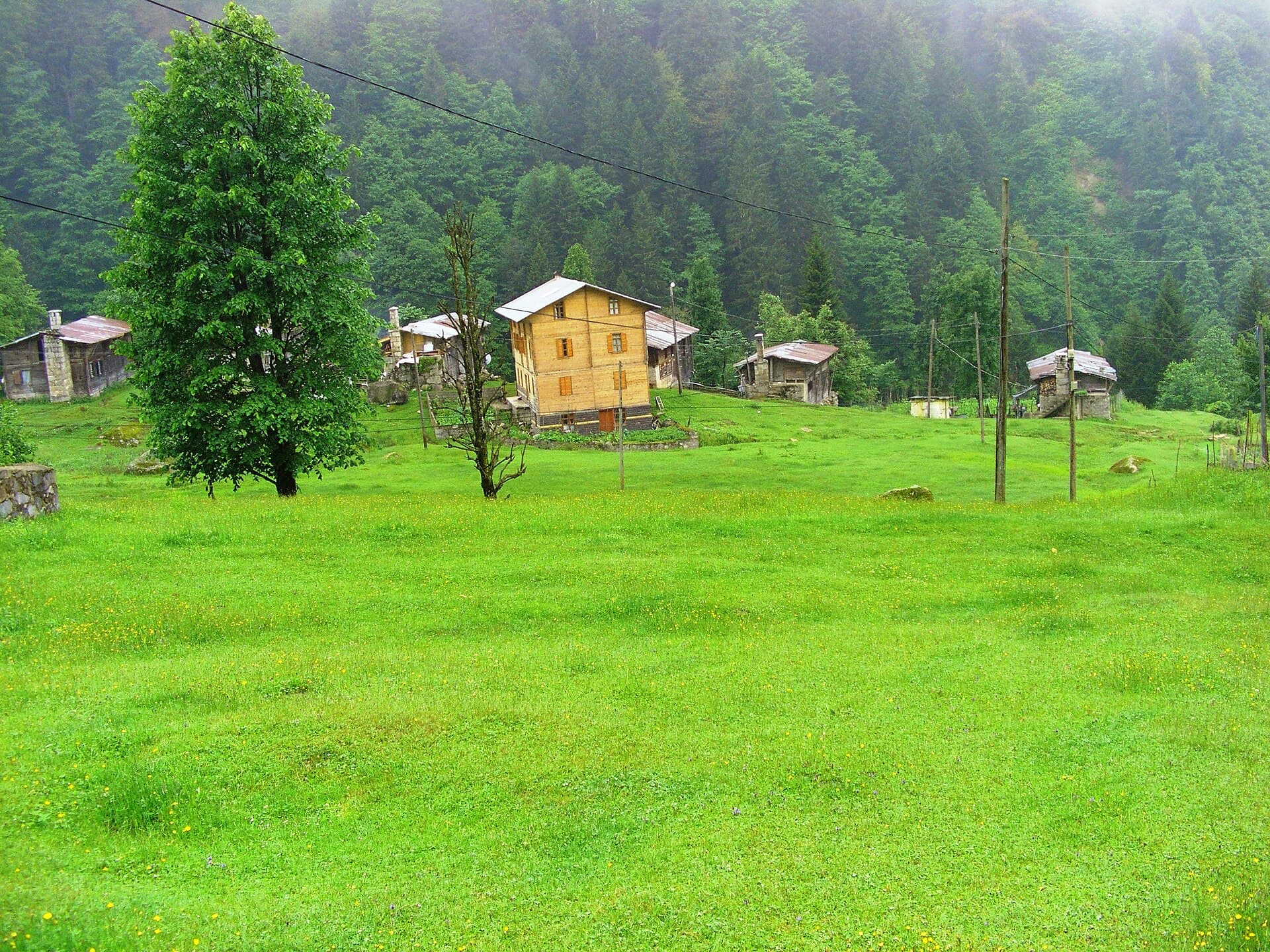 Ayder