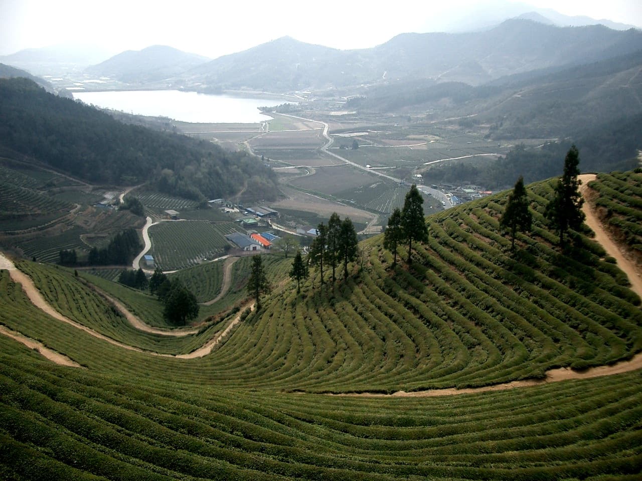 Boseong, South Korea