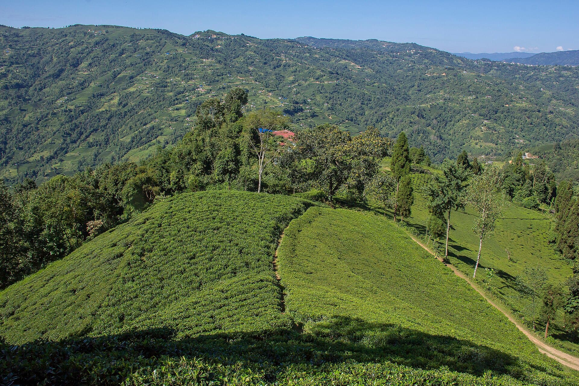 Ilam, Nepal