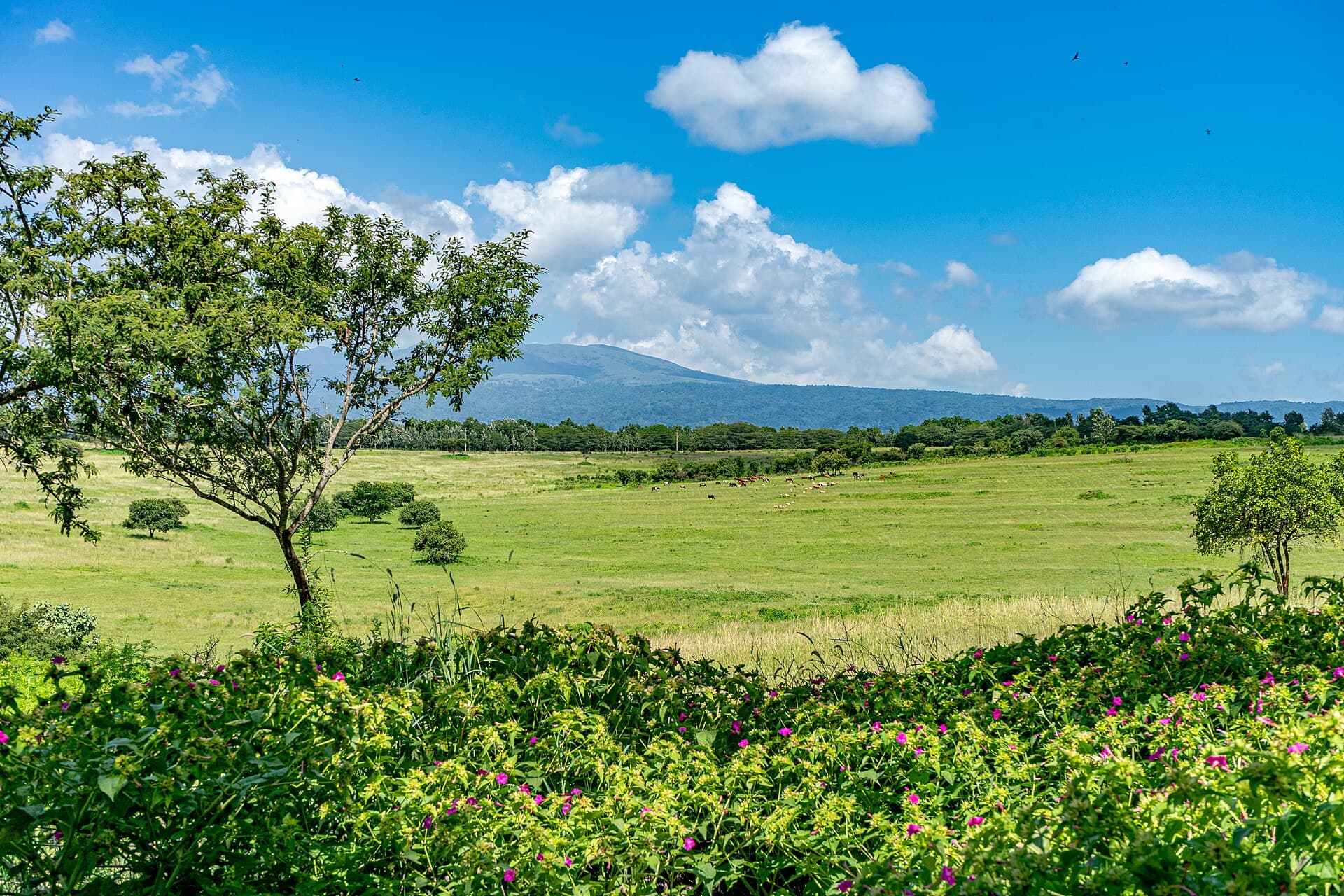 Karatu, Tanzania