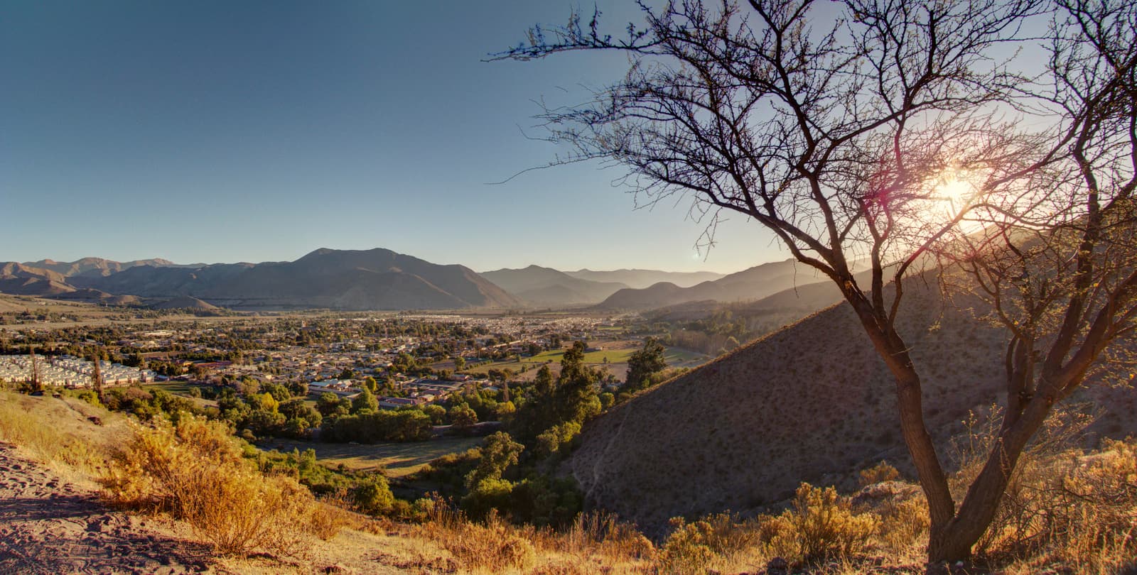 Vicuña, Chile