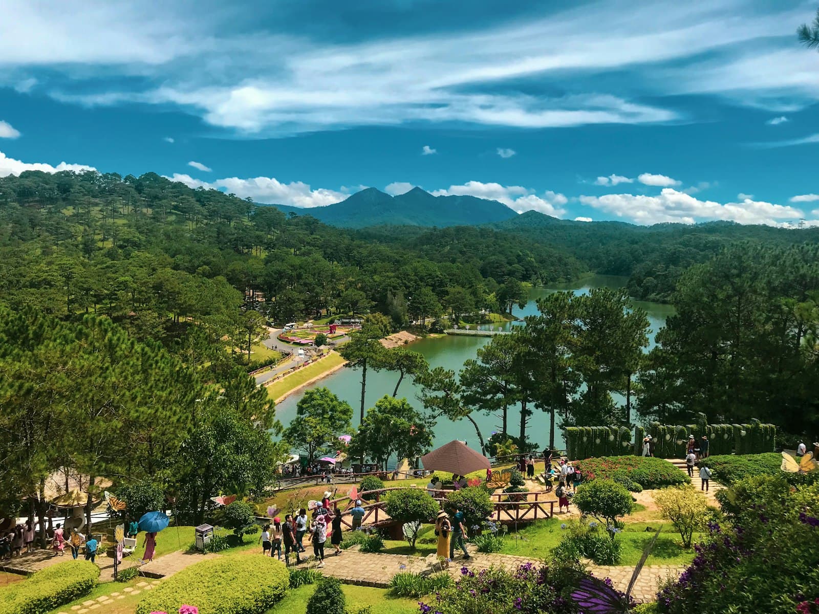 Đà Lạt — people walking on park near green trees and mountain during daytime