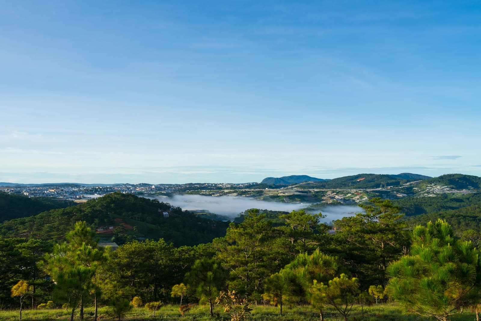 Đà Lạt — a scenic view of a valley with trees and clouds in the distance