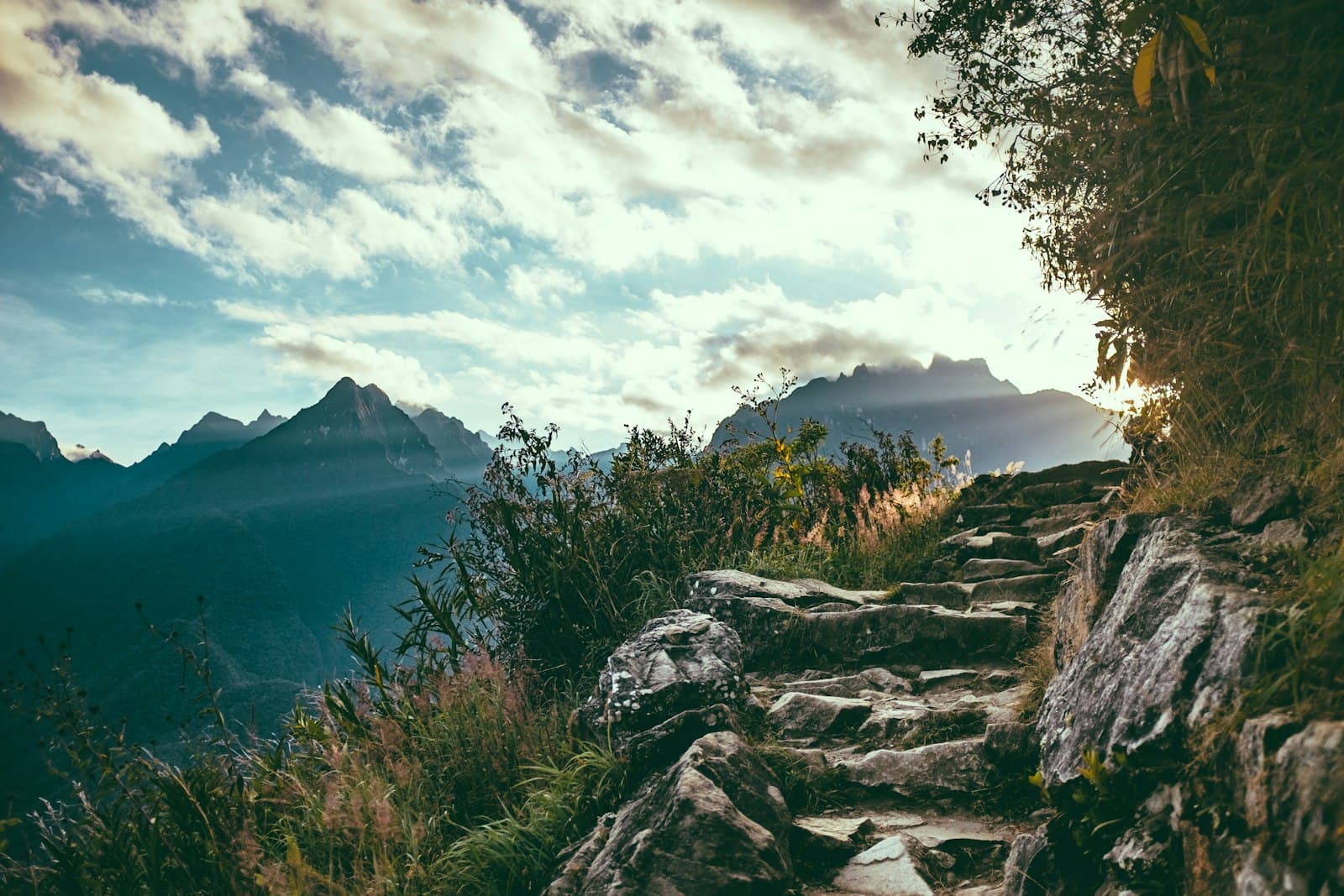 Aguas Calientes — green grass and green trees