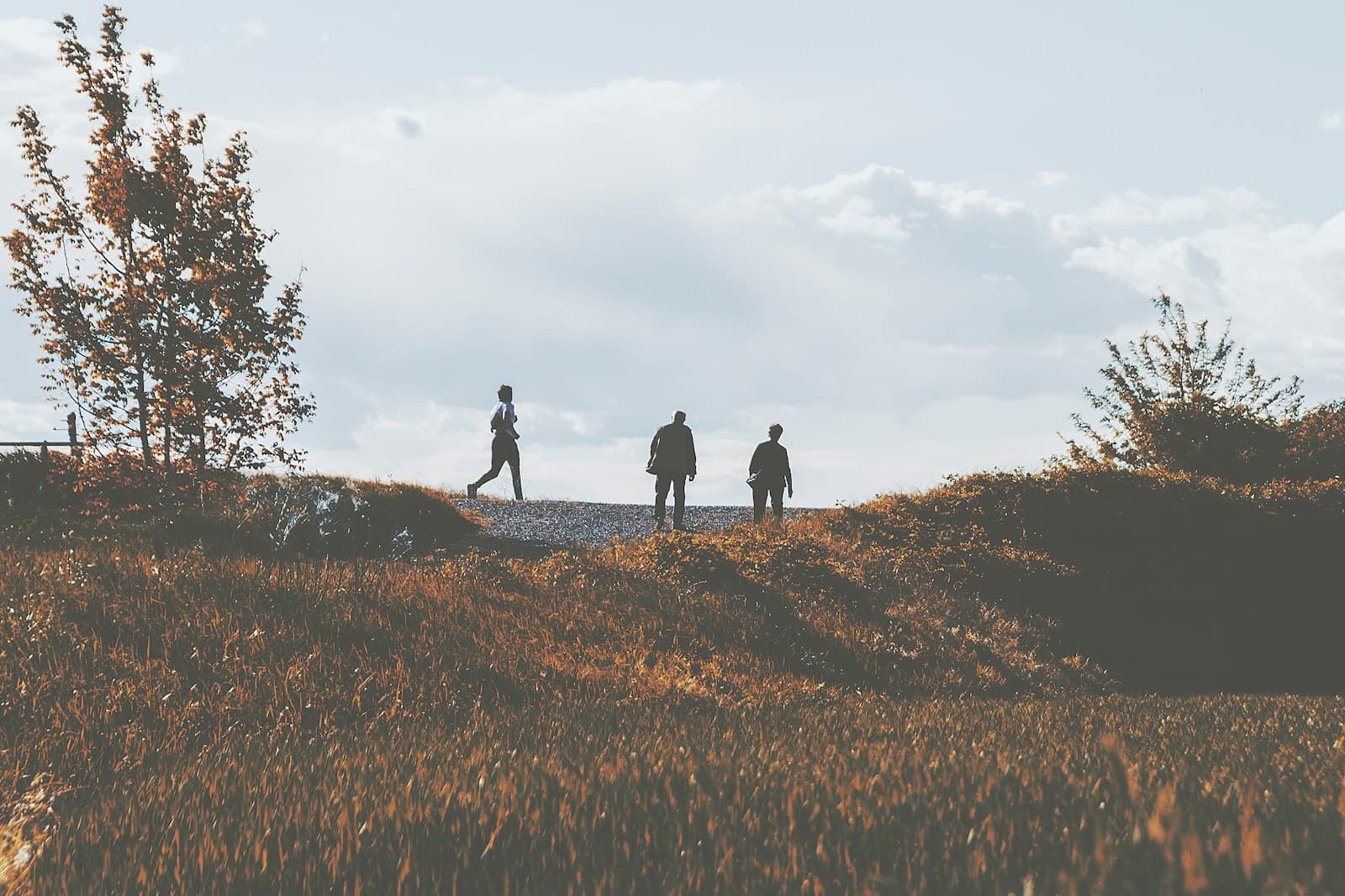 Alessandria — a group of people walking on a hill