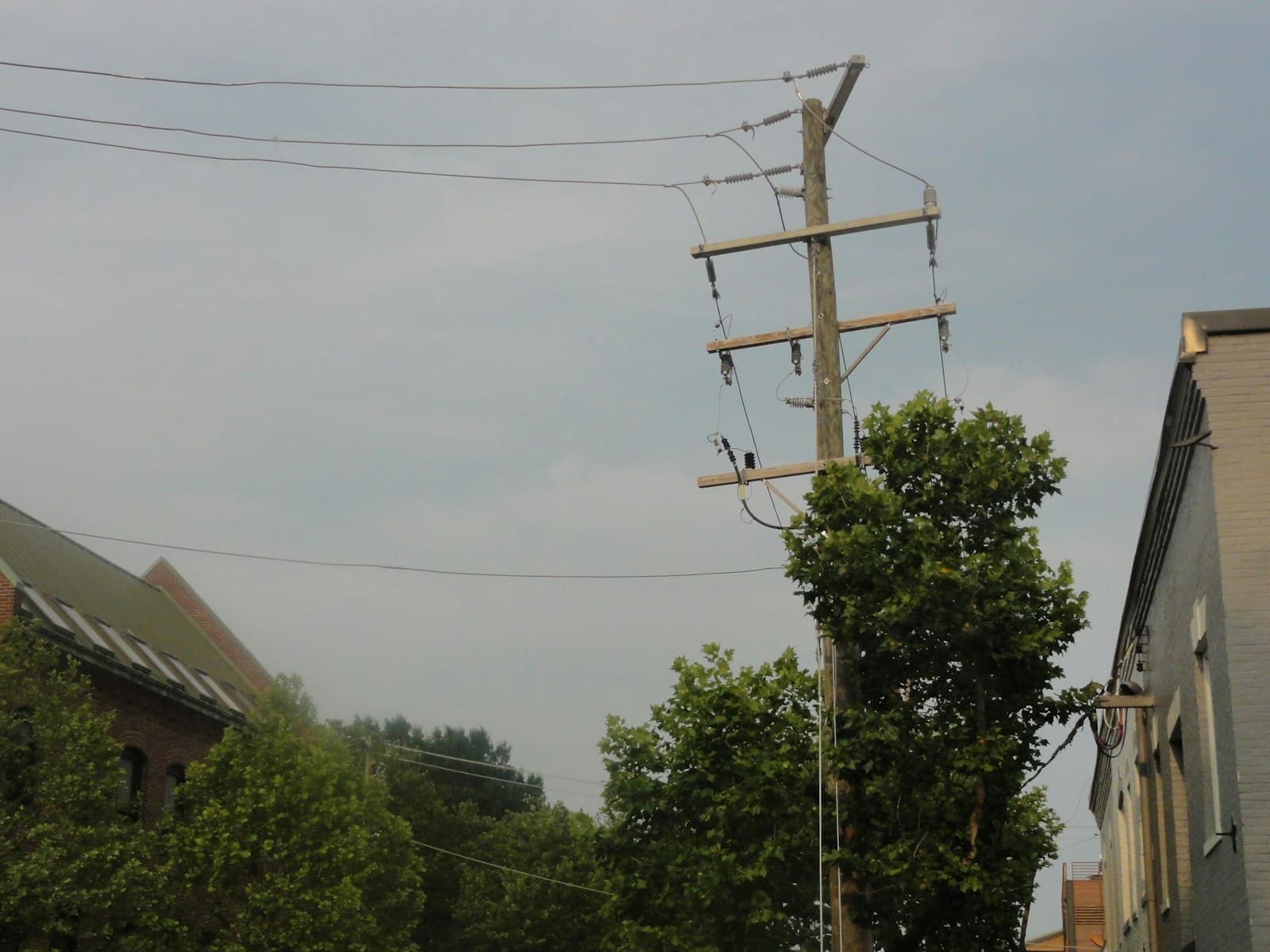 Alexandria — Power lines and pole stand against a cloudy sky.