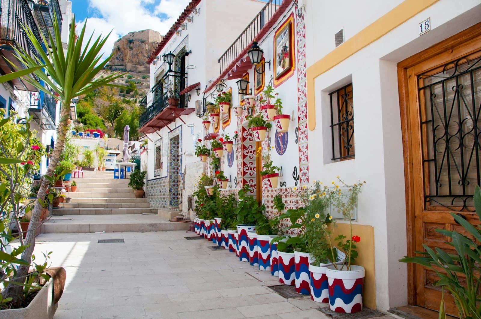 Alicante — a narrow street lined with potted plants next to a building