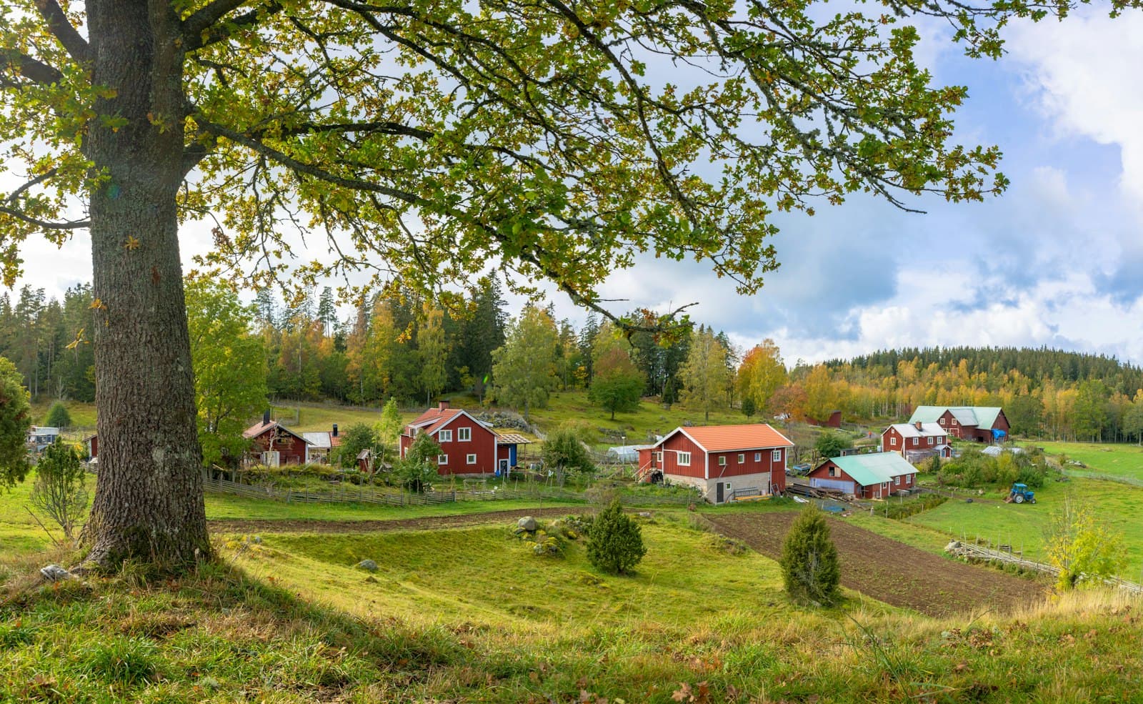 Alingsås — houses on grass field near forest