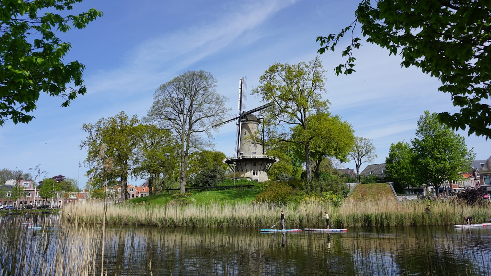 Alkmaar — a windmill on a hill next to a body of water