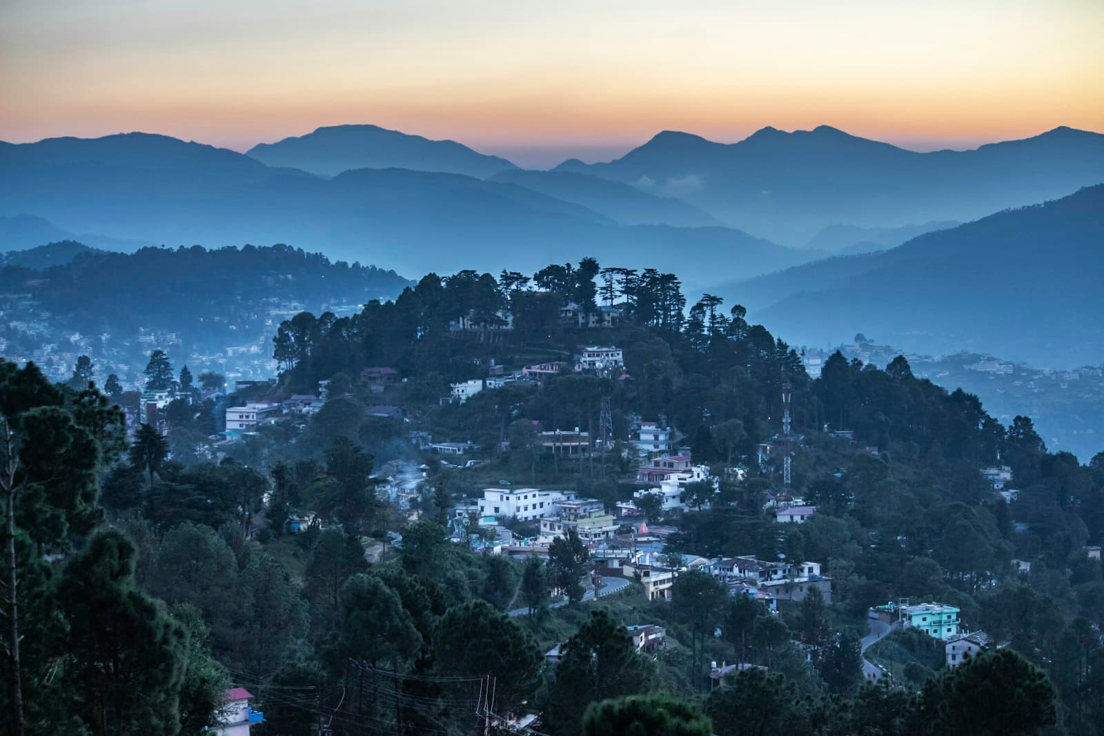 Almora — aerial view of trees on hill