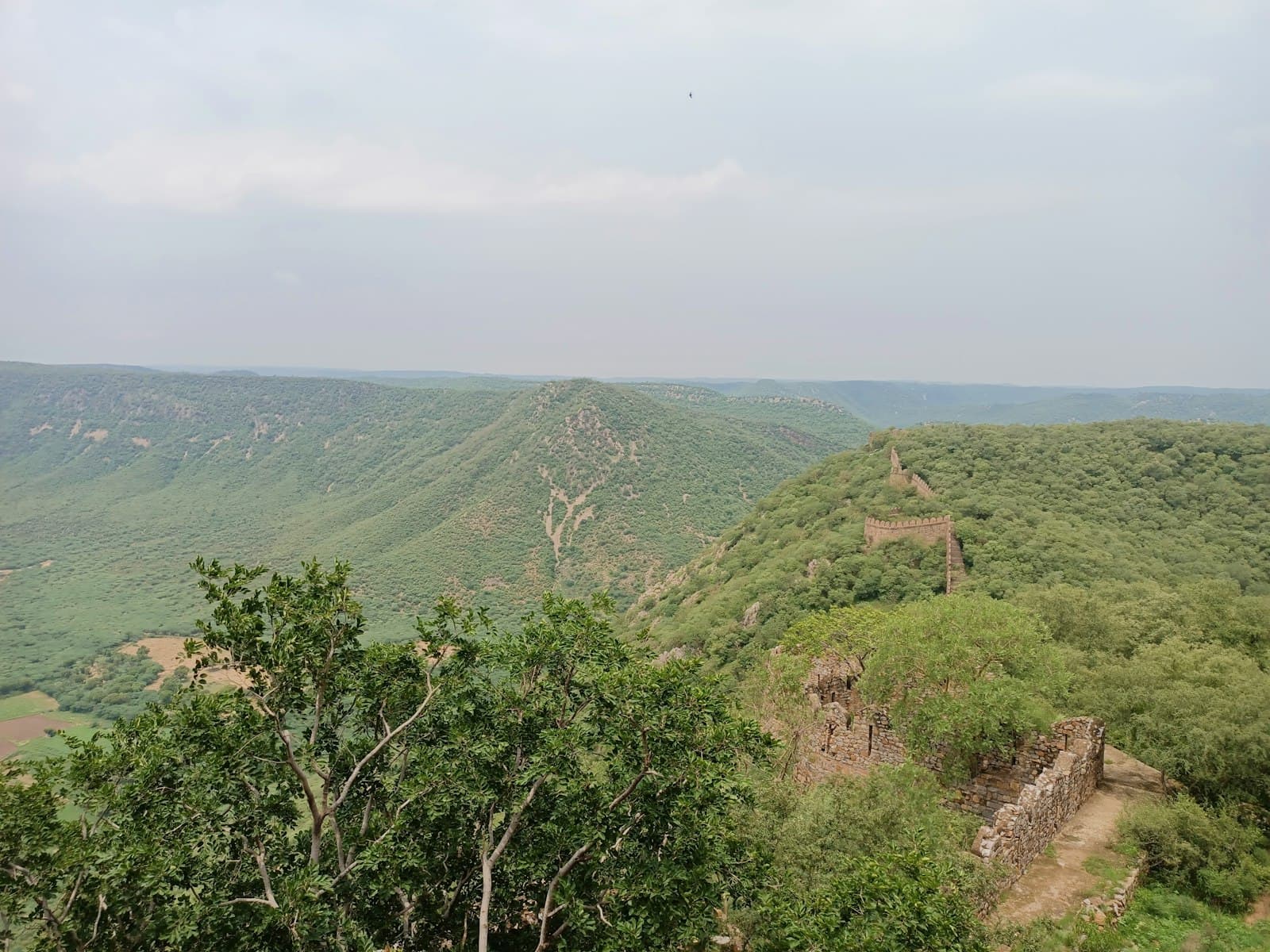 Alwar — green trees on mountain under white sky during daytime