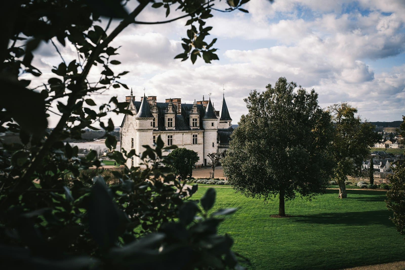 Amboise — a large white castle with a tree in front of it