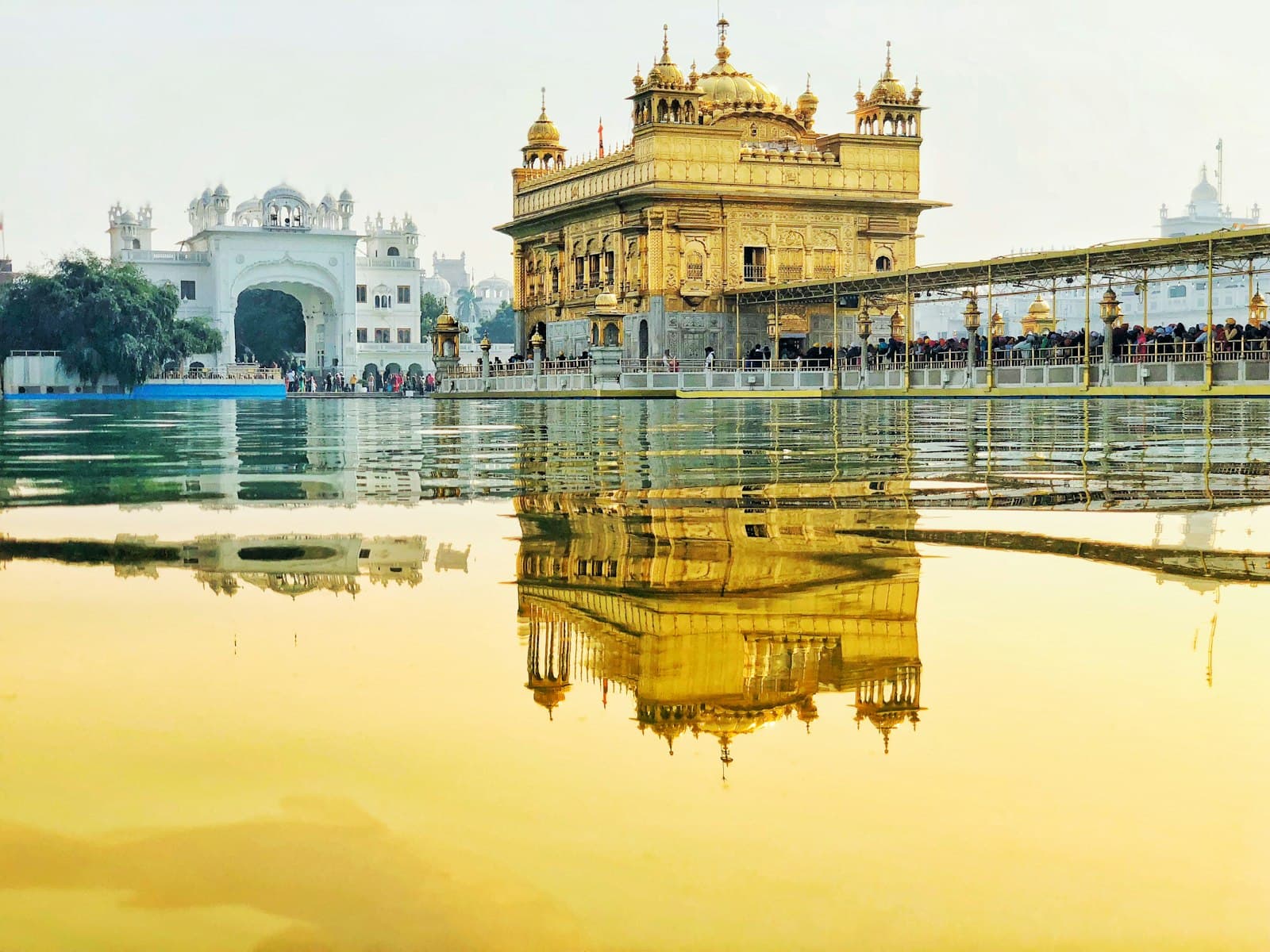 Amritsar — yellow temple near body of water