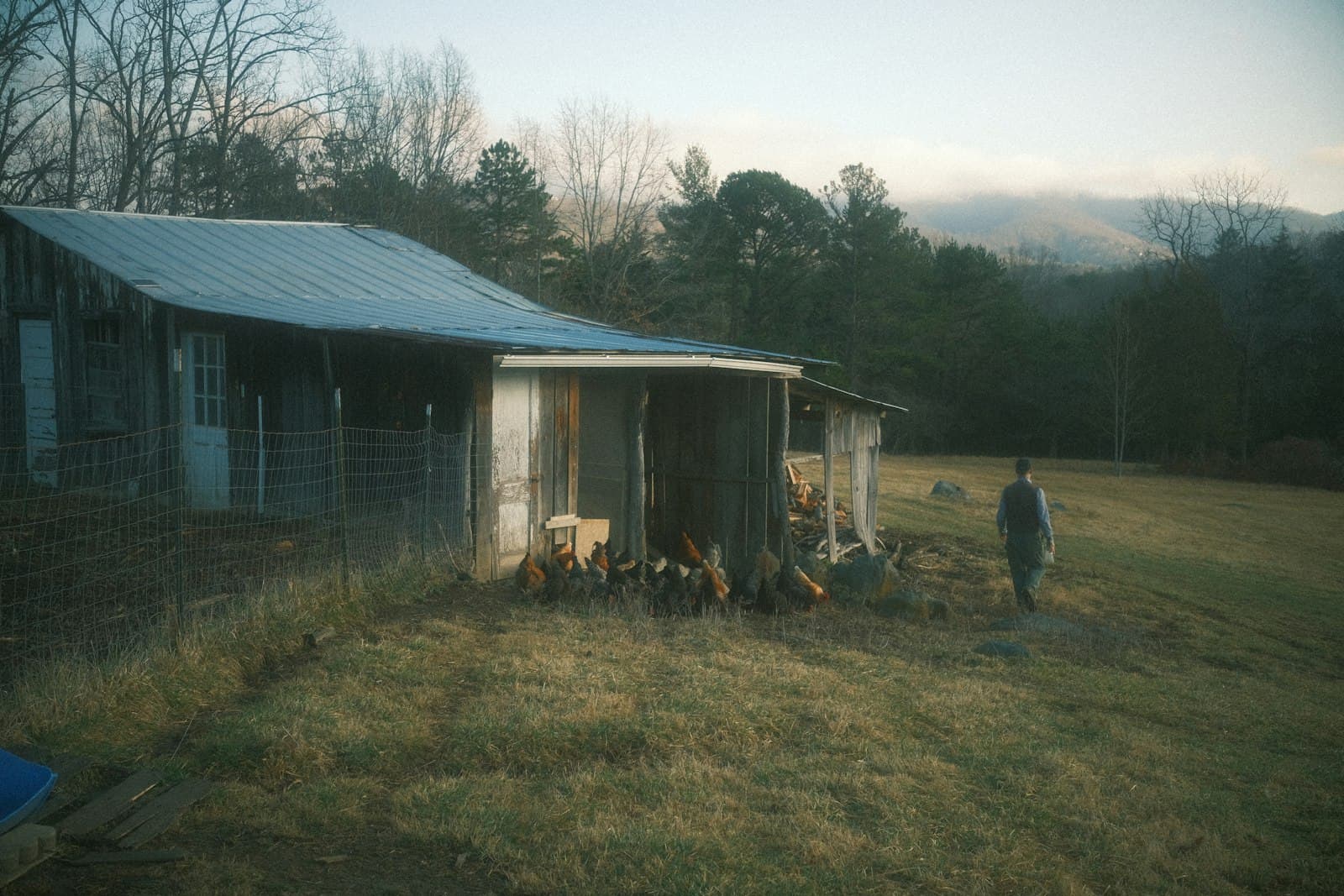 Asheville — A person walks toward a rustic barn.