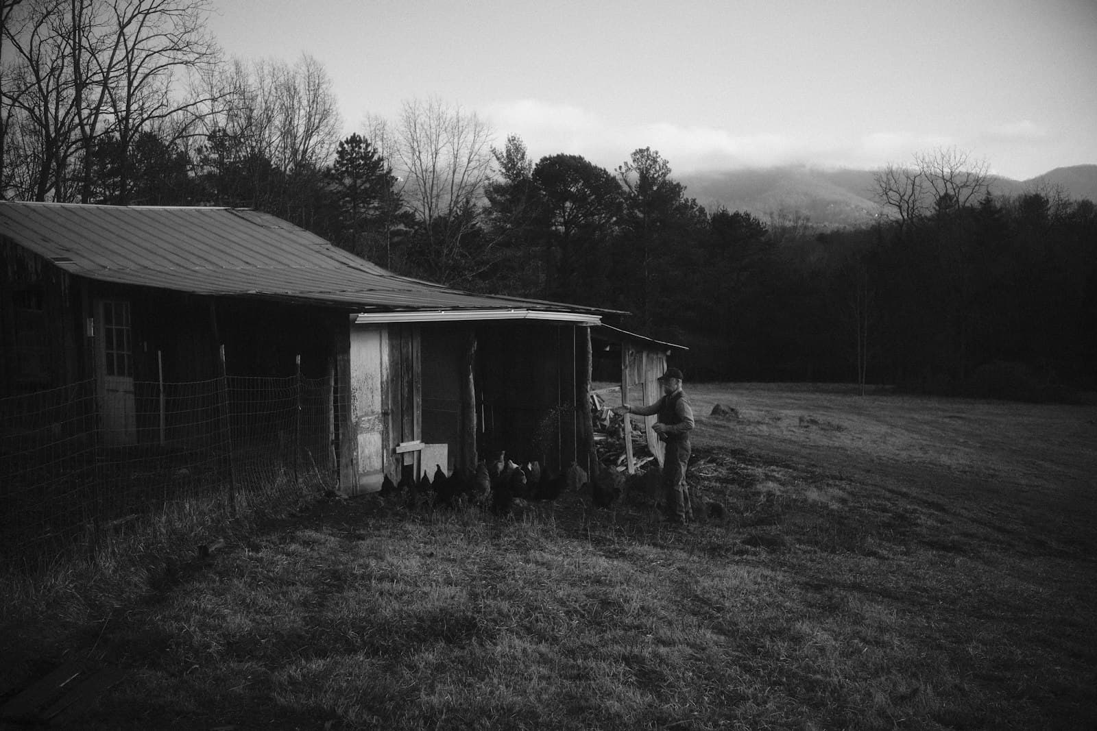 Asheville — A rustic shack sits in a dark field.