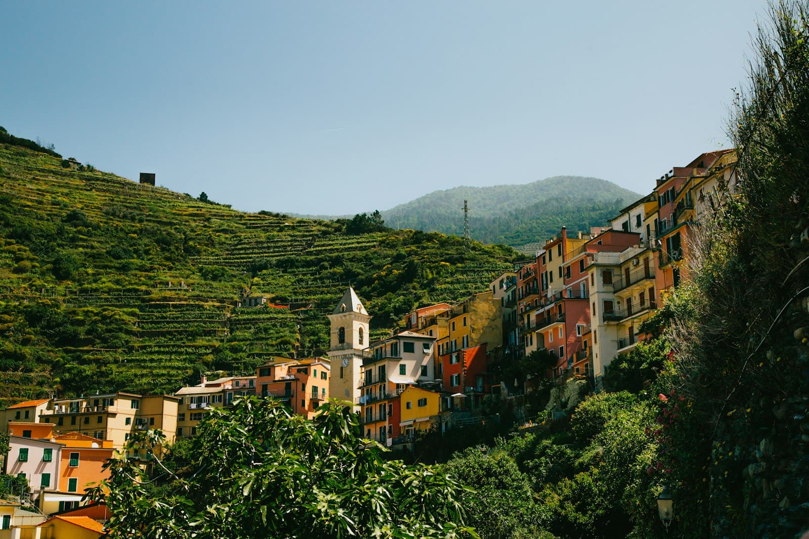 Asolo — concrete houses near trees