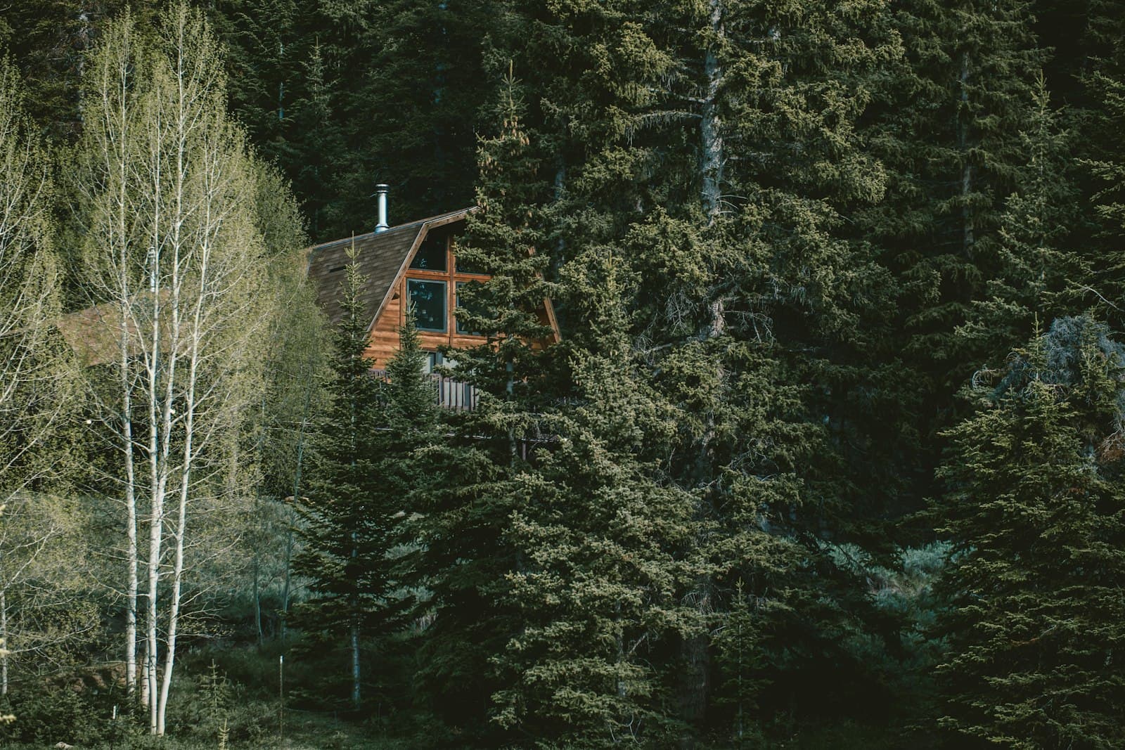 Aspen — aerial photography of house near tres