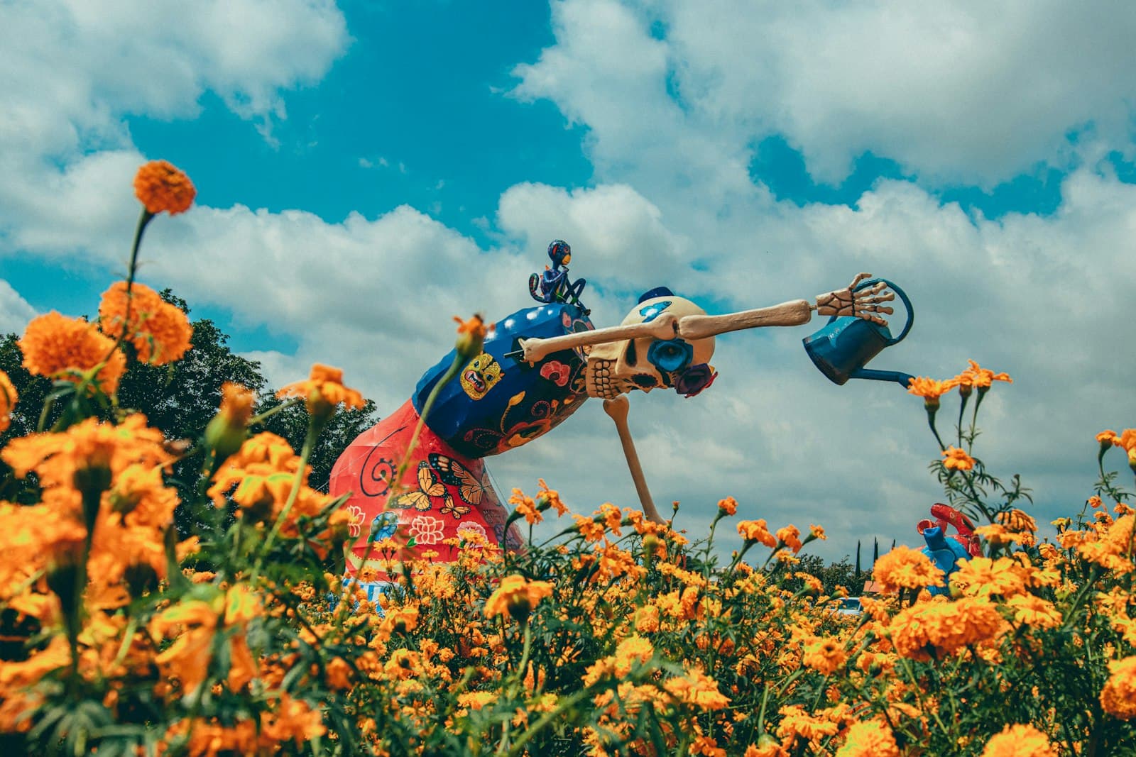 Atlixco — a person in a garment in a field of flowers