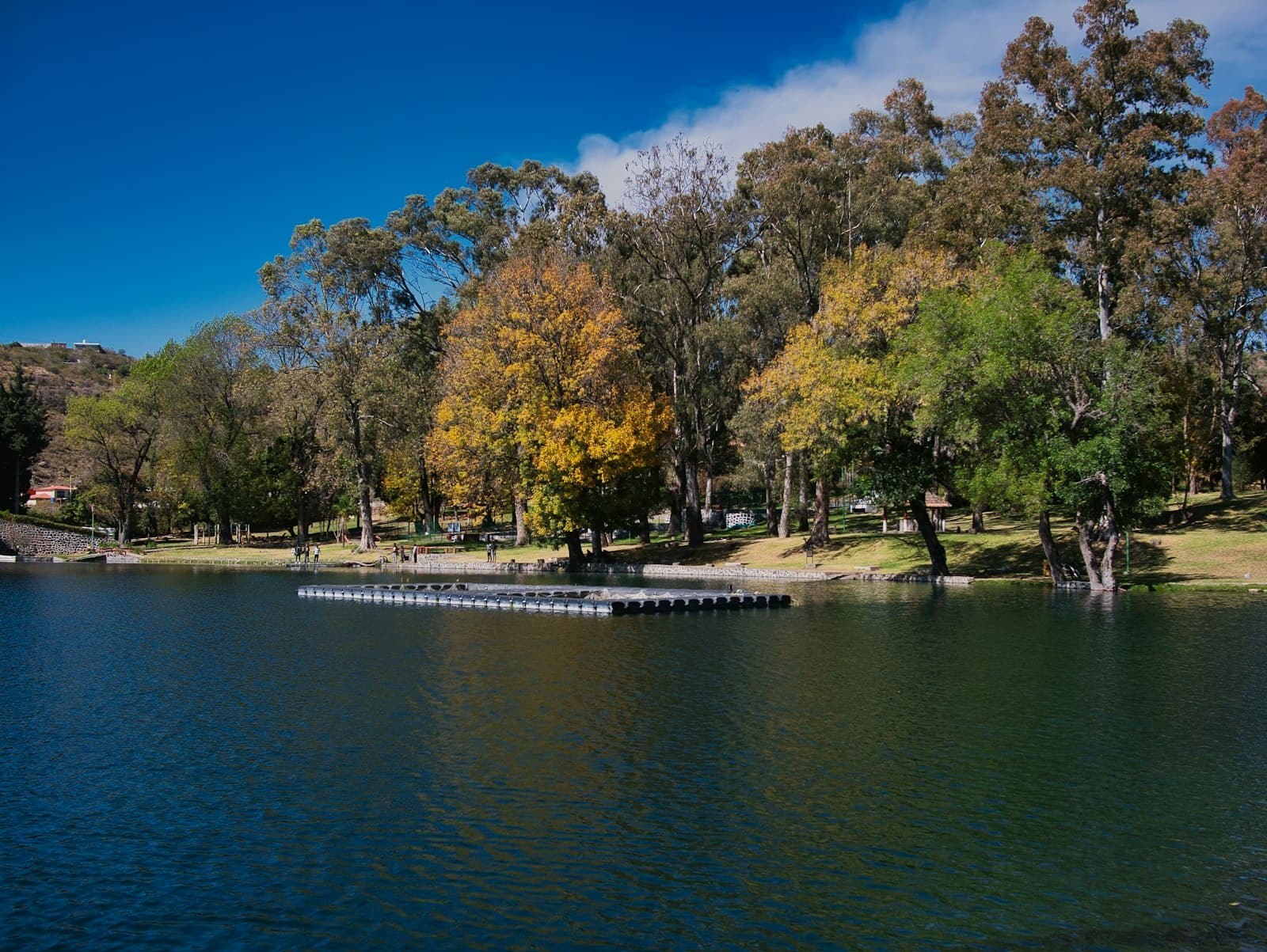 Atlixco — a body of water surrounded by lots of trees