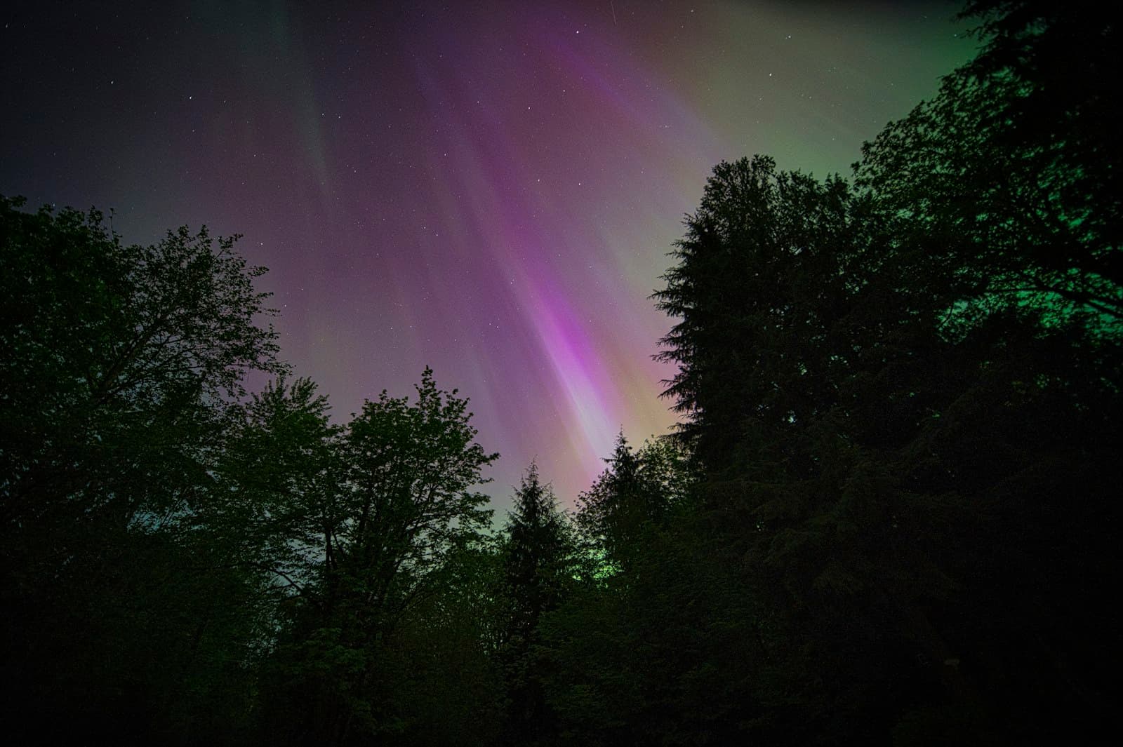 Aurora — a purple and green aurora bore in the night sky
