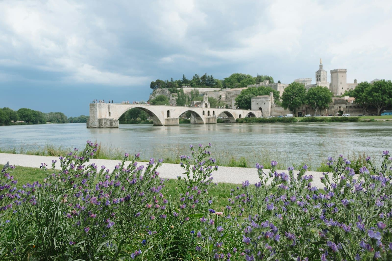 Avignon — a bridge over a river next to a lush green field
