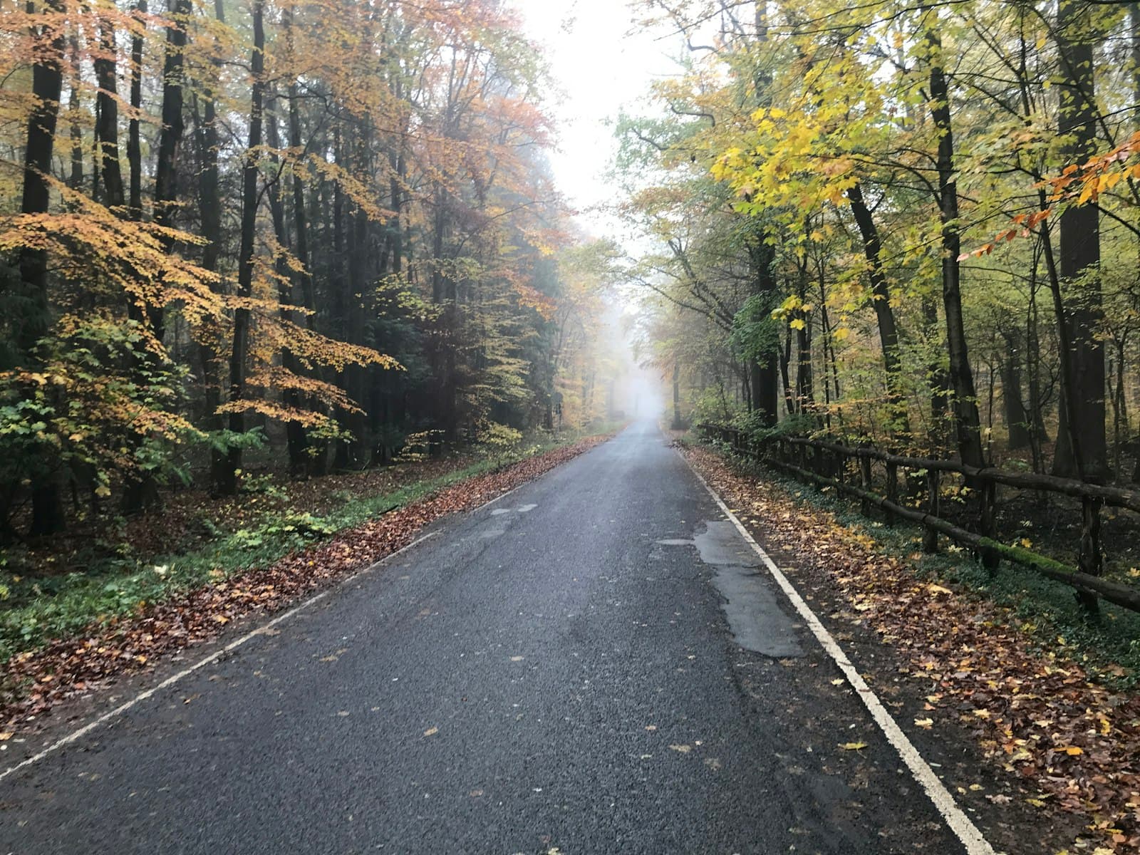 Bad Homburg — asphalt road scenery