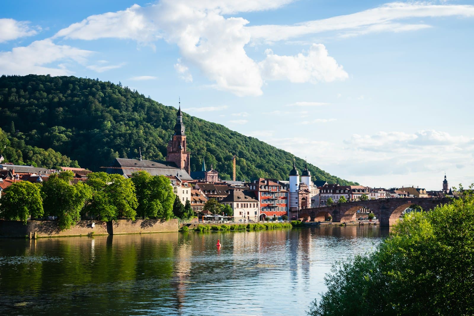 Baden-Baden — green trees near body of water during daytime