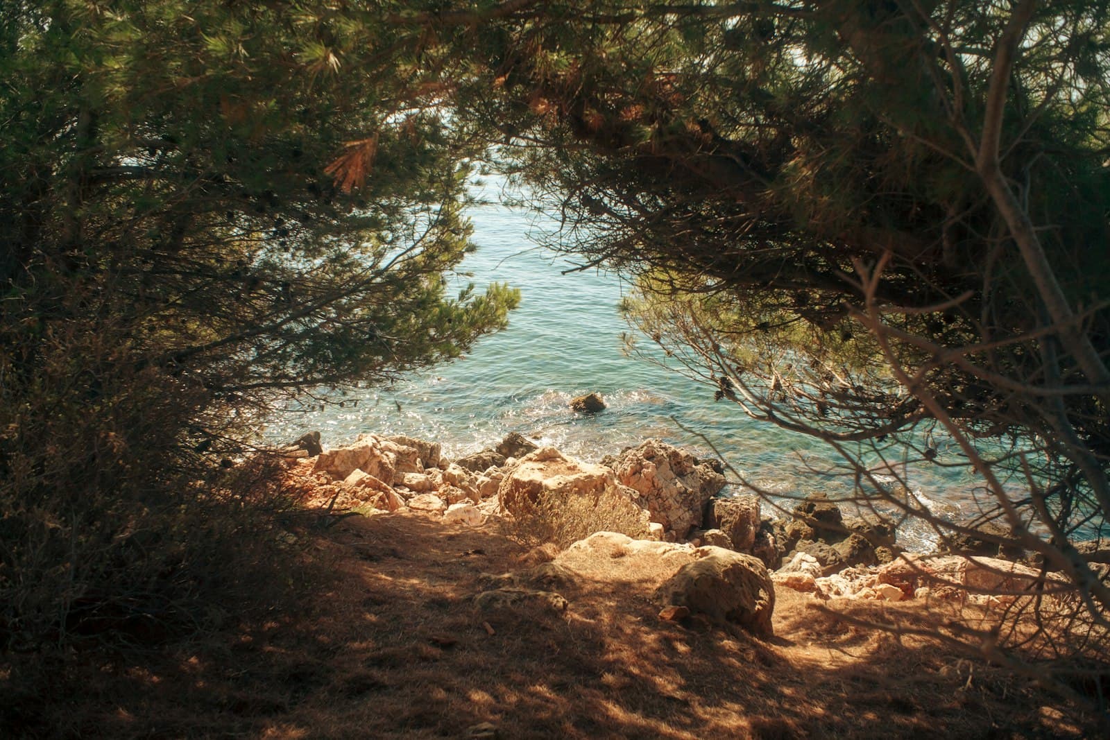 Bandol — A view of a body of water through some trees