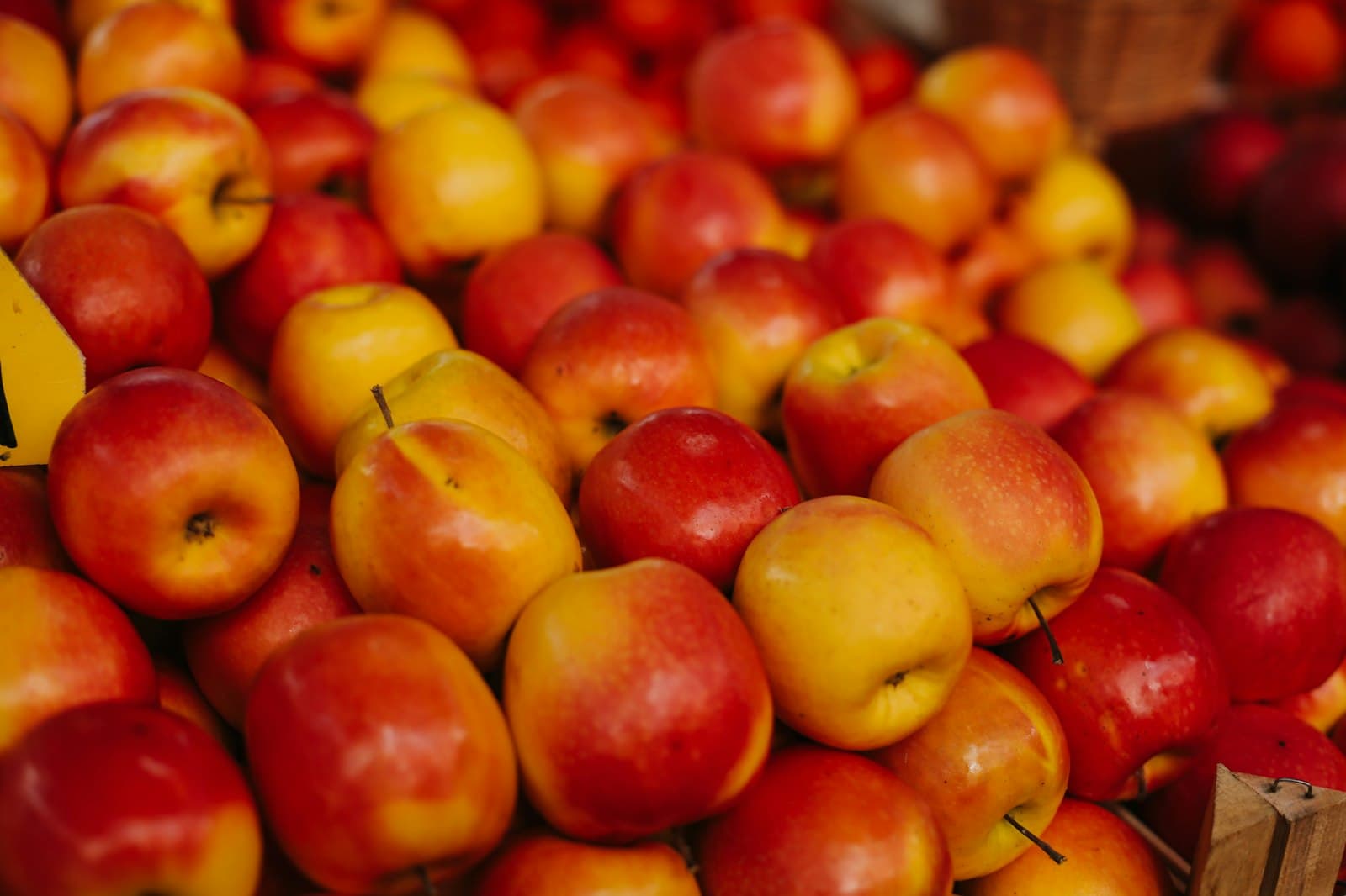 Banja Luka — red apple lot