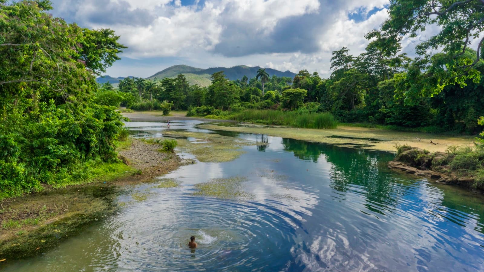 Baracoa — A river running through a lush green forest