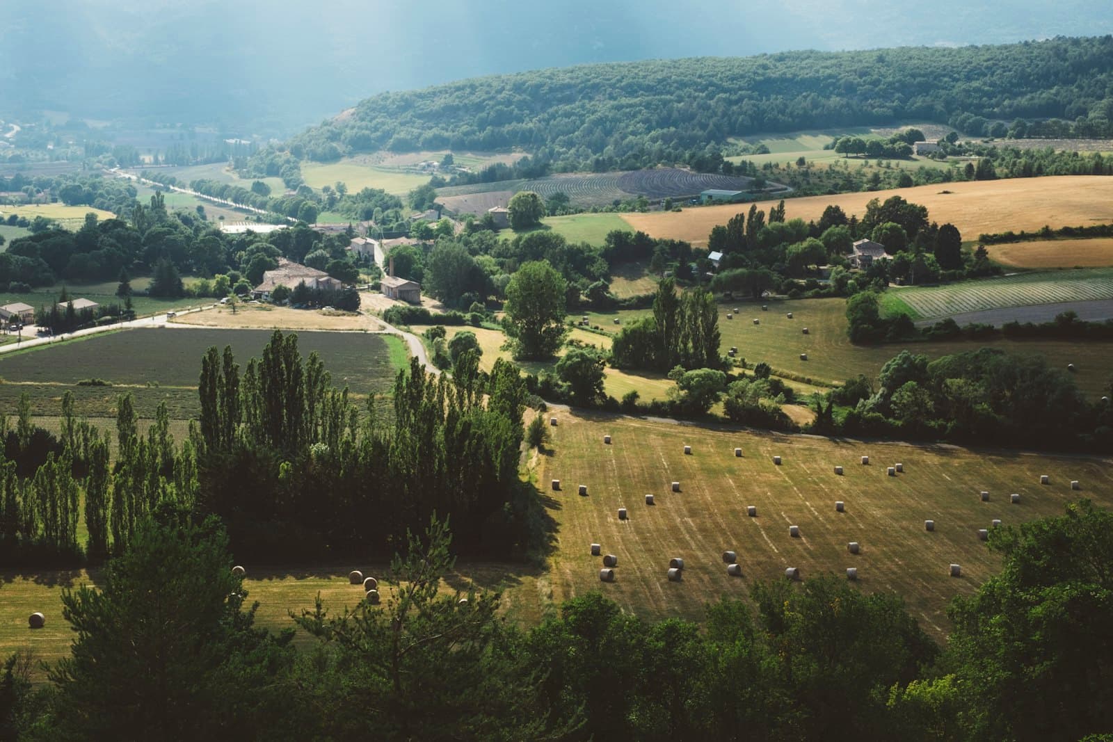 Barbizon — aerial view of trees and farm