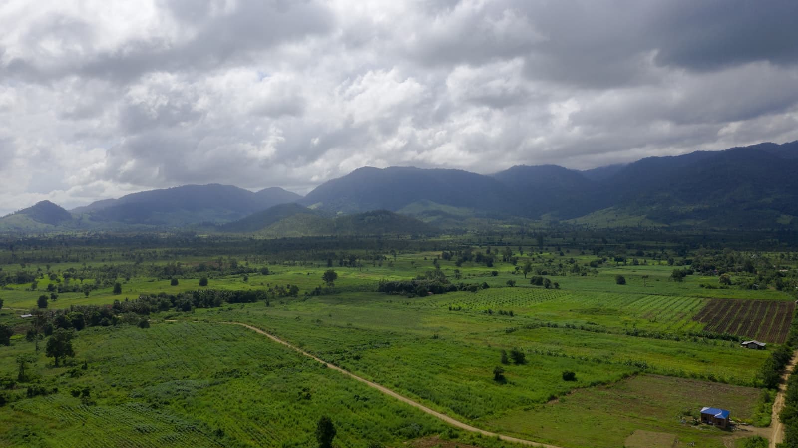 Battambang — aerial photo of field