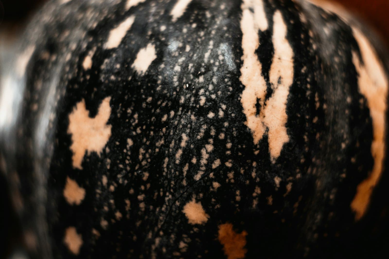 Belém — a close up of a black and white fabric