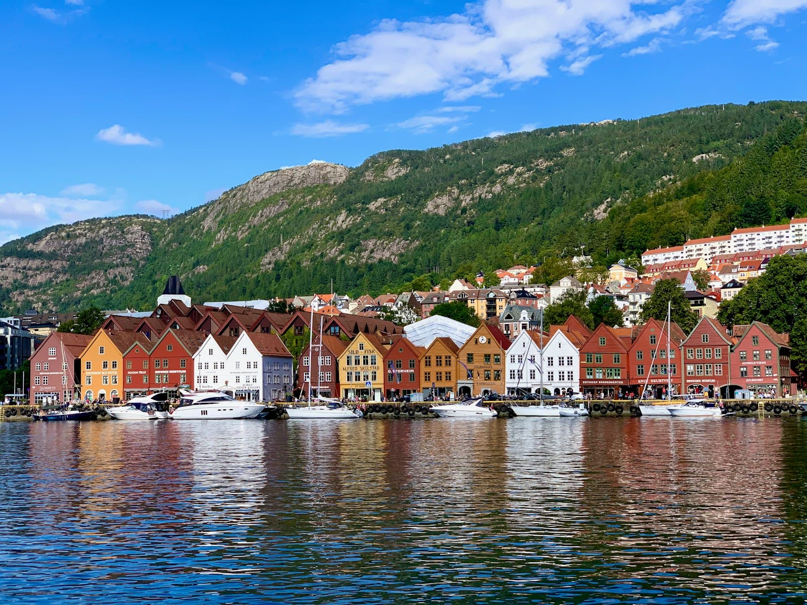 Bergen — houses near body of water under blue sky during daytime