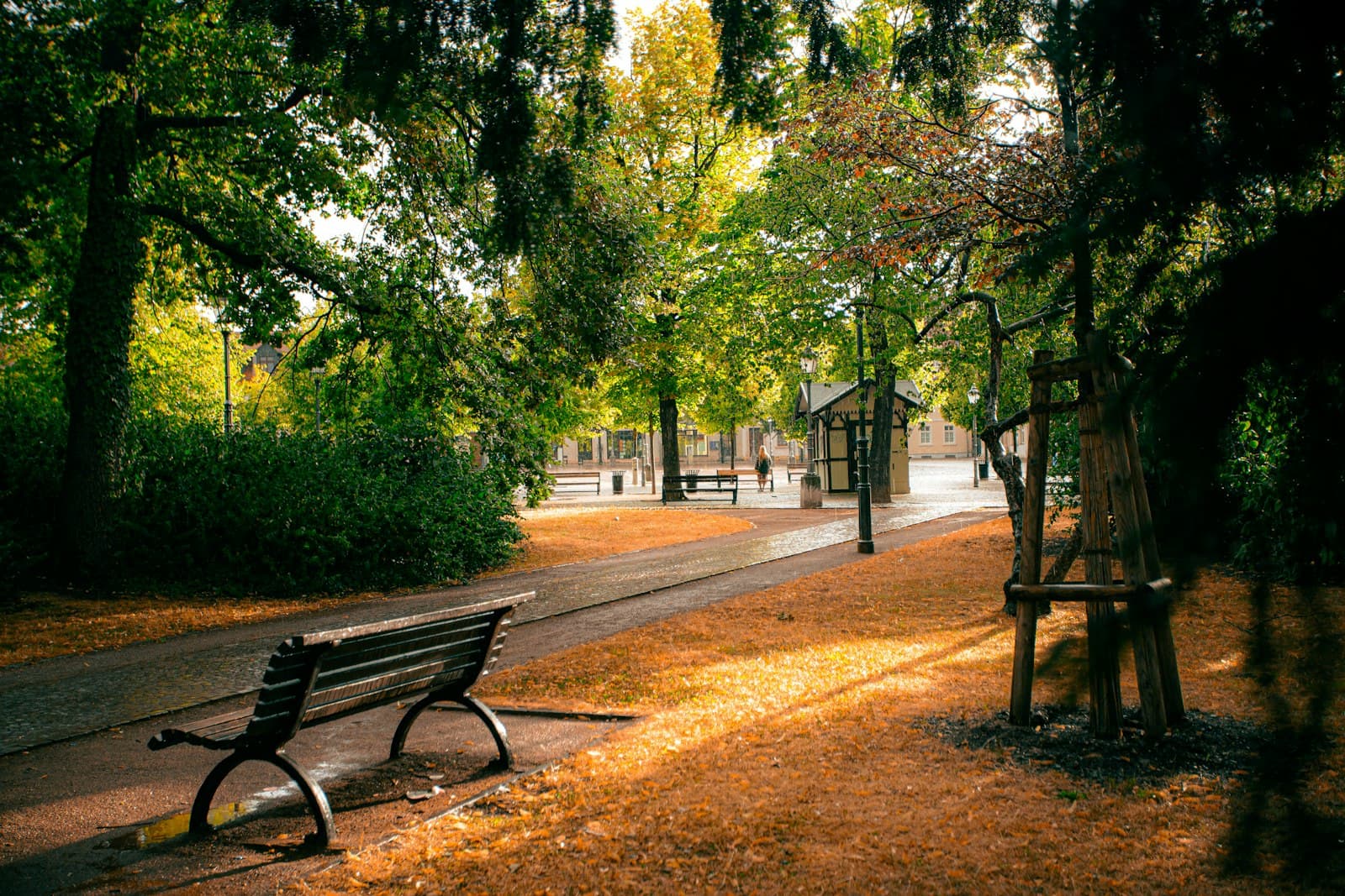 Bernburg — A park bench sits amidst beautiful autumn scenery
