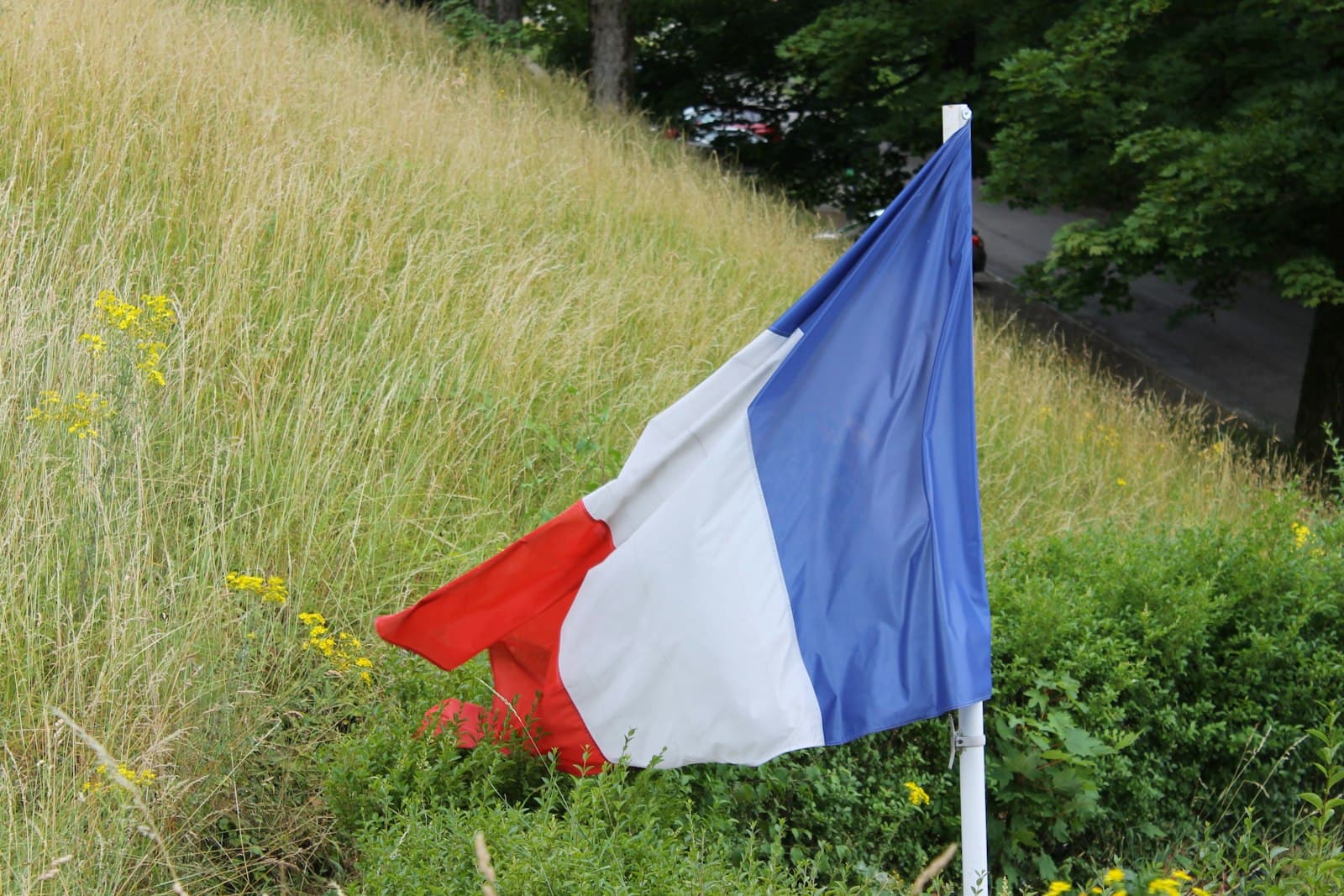Besançon — blue white and red flag on green grass field