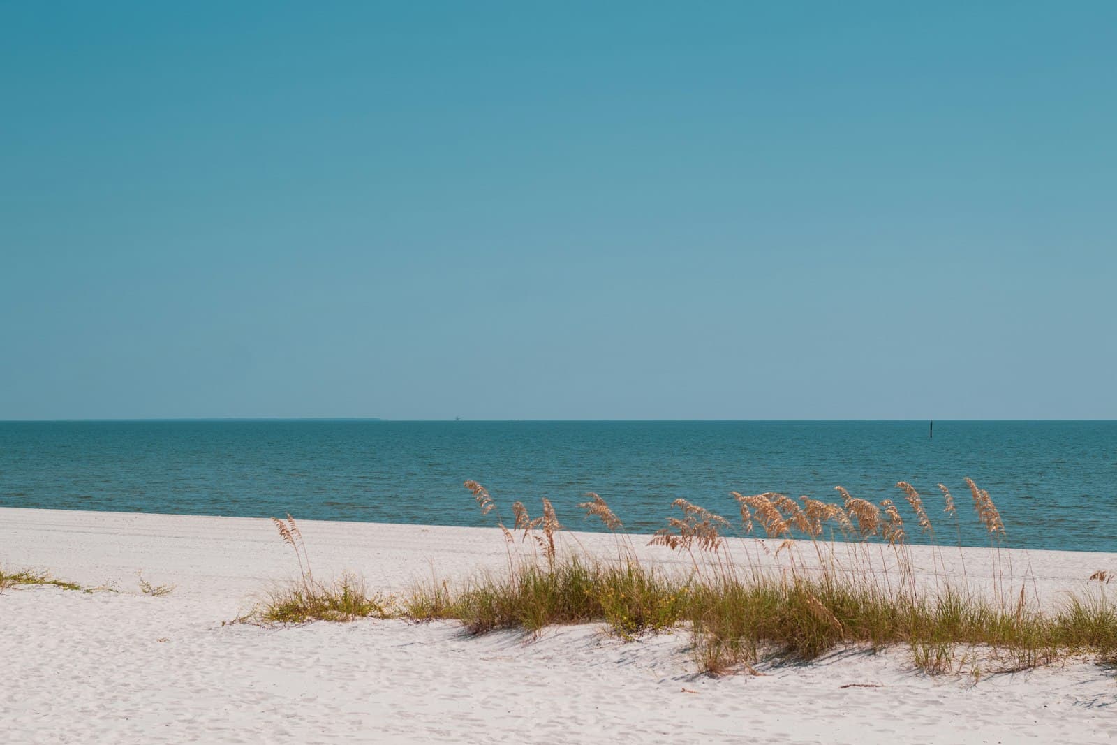 Biloxi — a beach with sand and plants