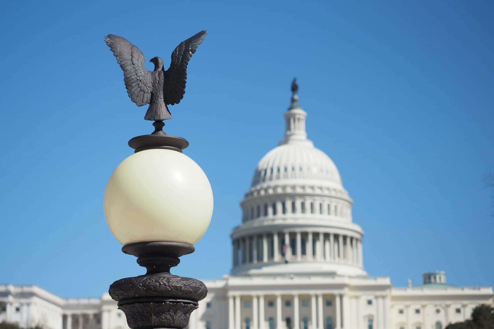 Bird-in-Hand — a statue of an eagle on top of a lamp post in front of the capitol