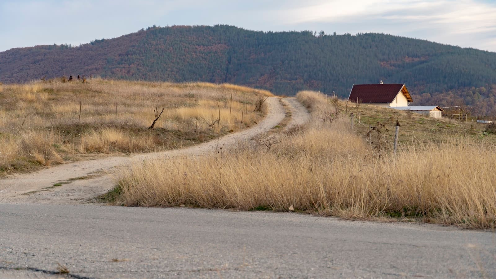 Blagoevgrad — a dirt road leading to a house