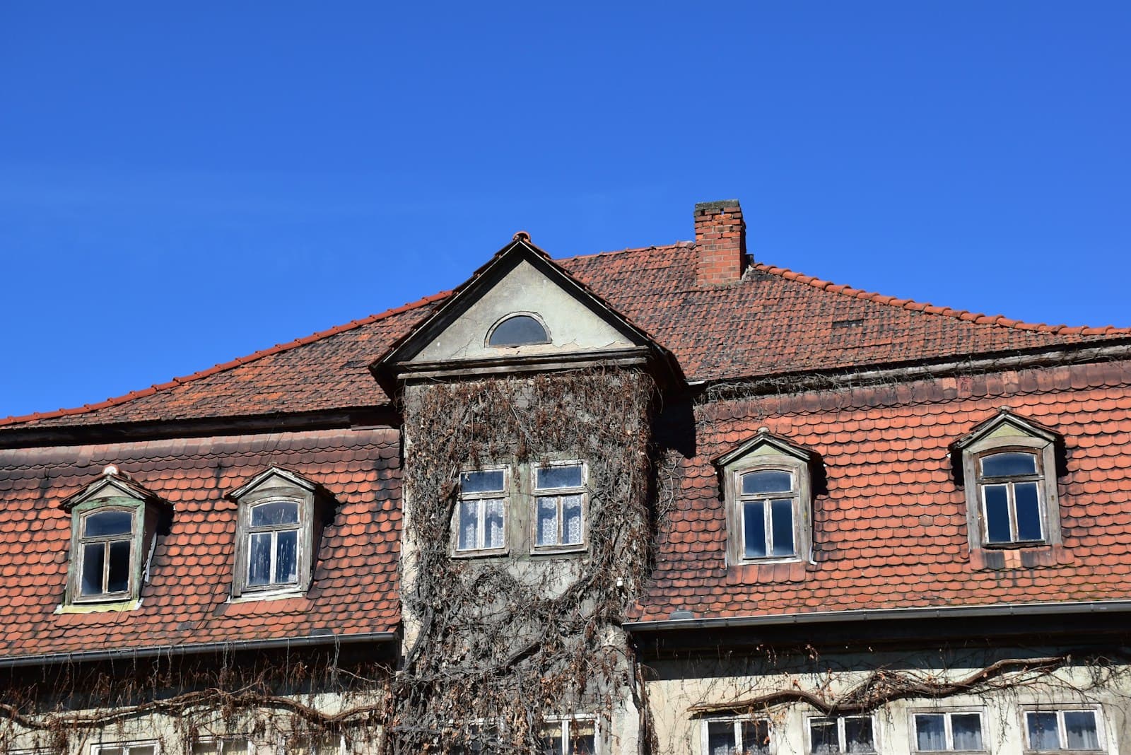 Blankenburg — an old building with a tree growing out of it