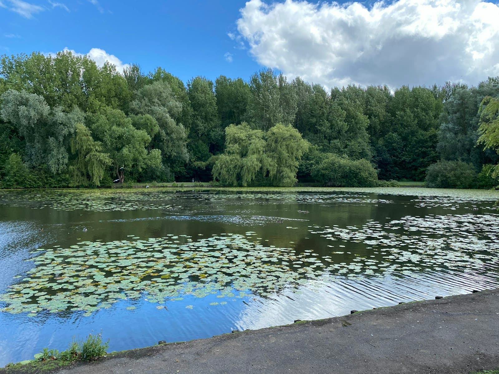 Bolton — a body of water with trees around it