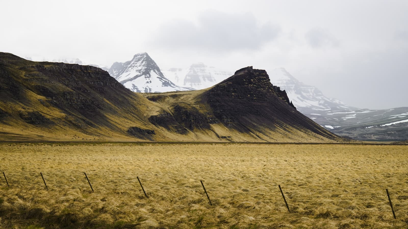 Borgarnes — a grassy field with mountains in the background