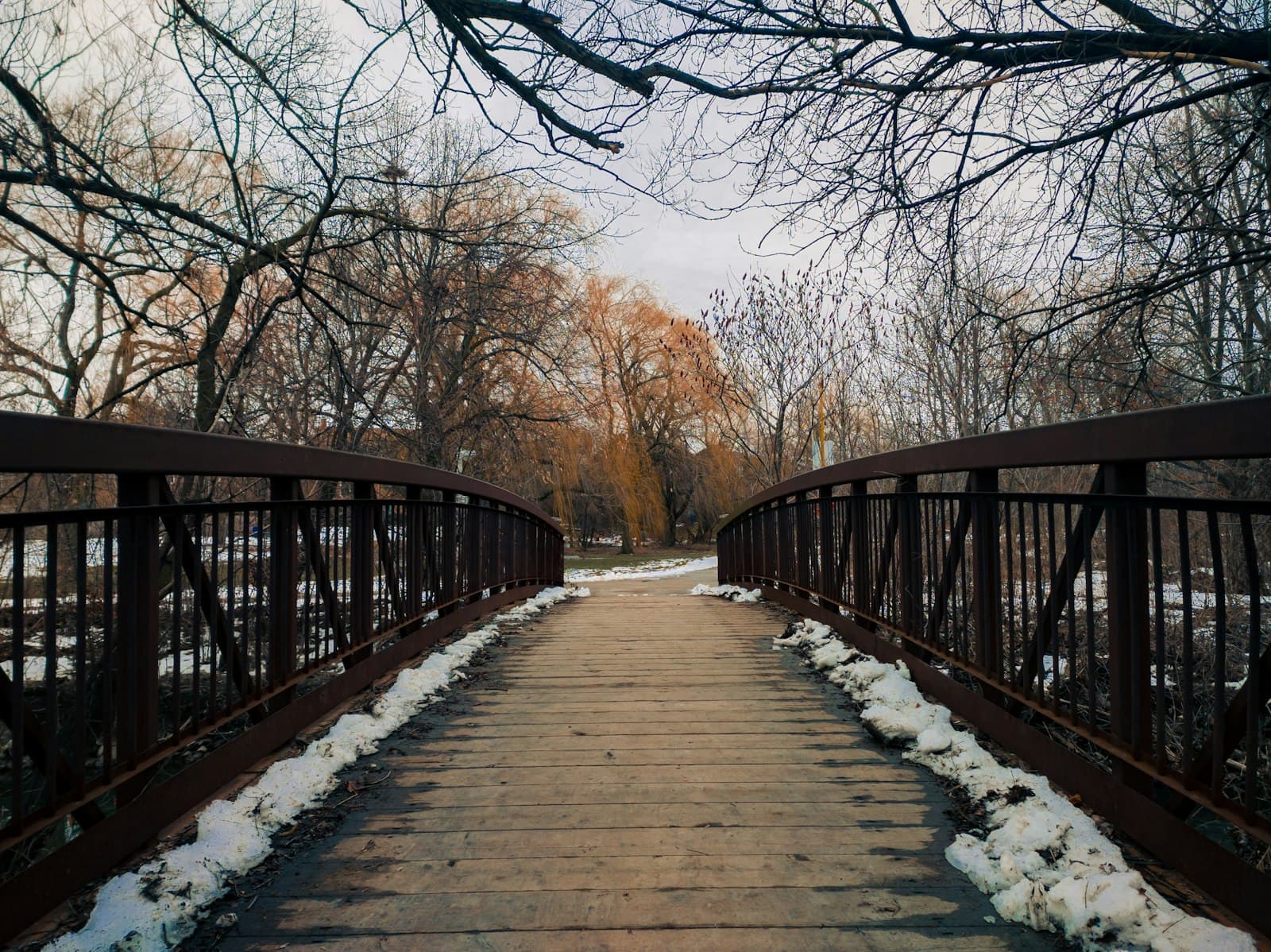 Brampton — brown wooden bridge near bare trees during daytime