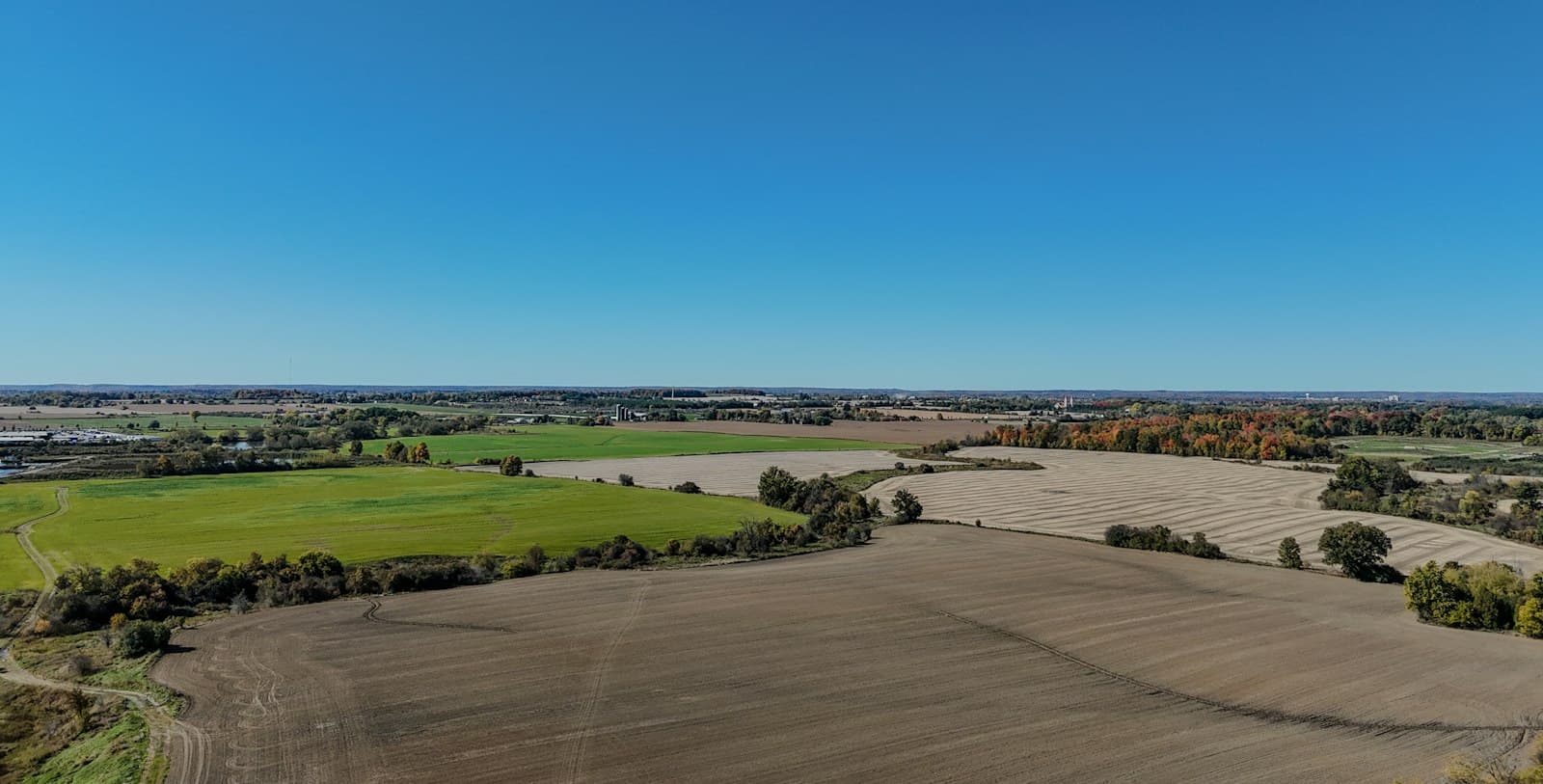 Brampton — An aerial view of a large field with trees