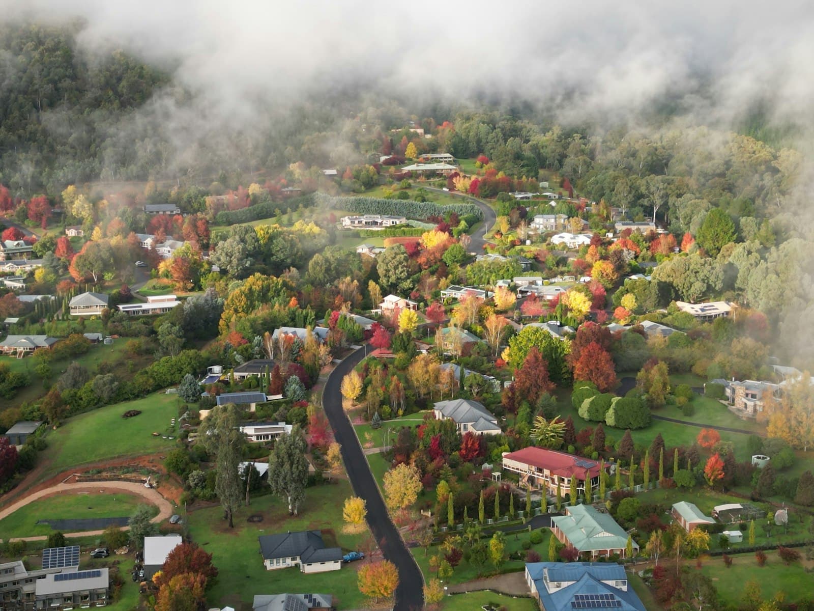 Bright — an aerial view of a town surrounded by trees
