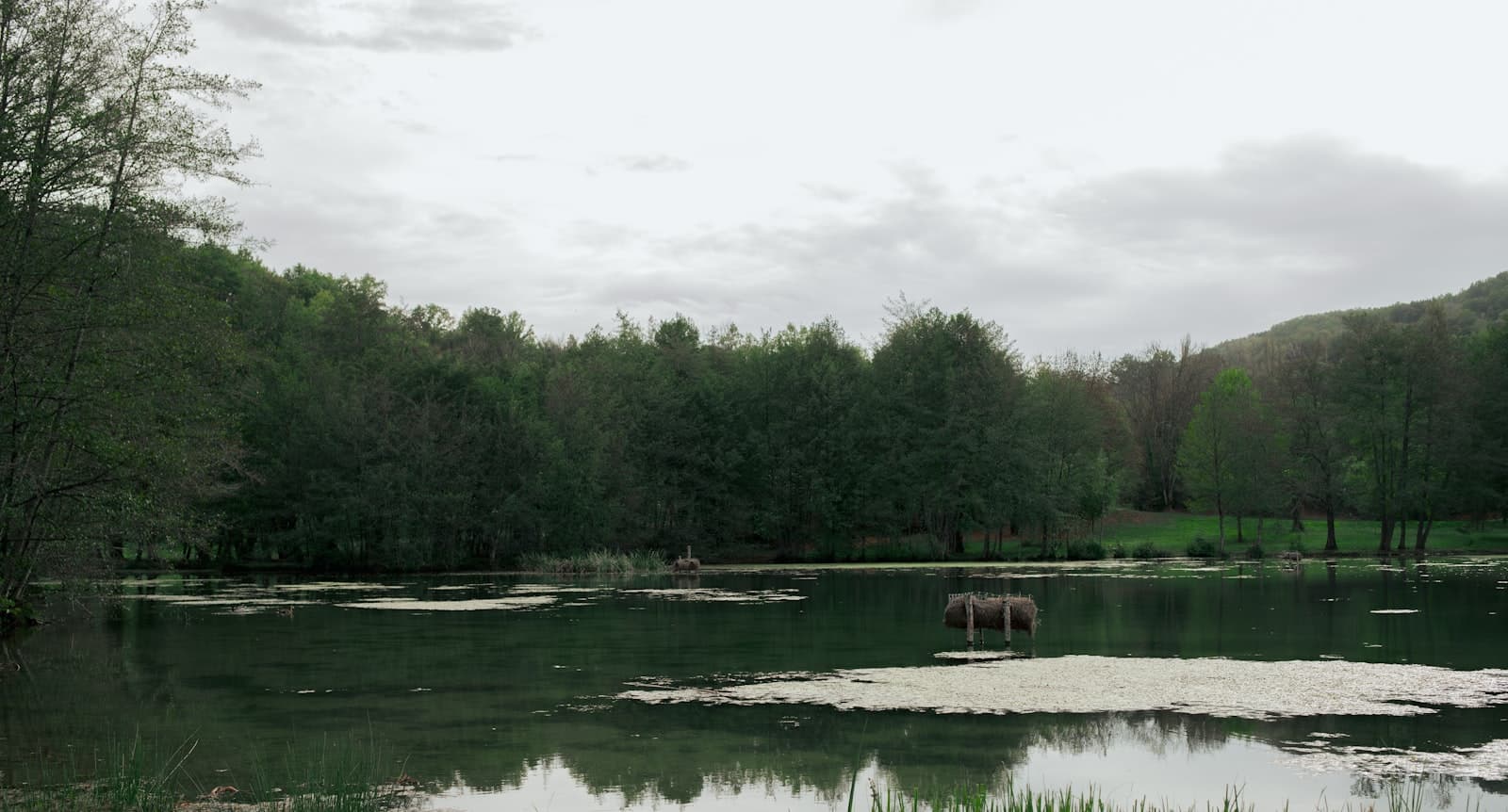 Brive-la-Gaillarde — a body of water with trees around it