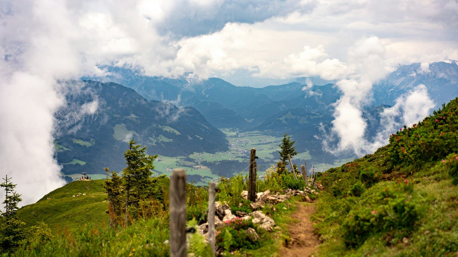Bruck an der Leitha — green trees on green grass field near mountain under white clouds during daytime