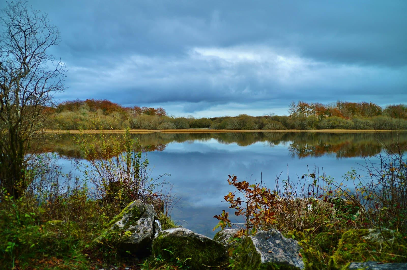 Bundoran — a lake with rocks and trees