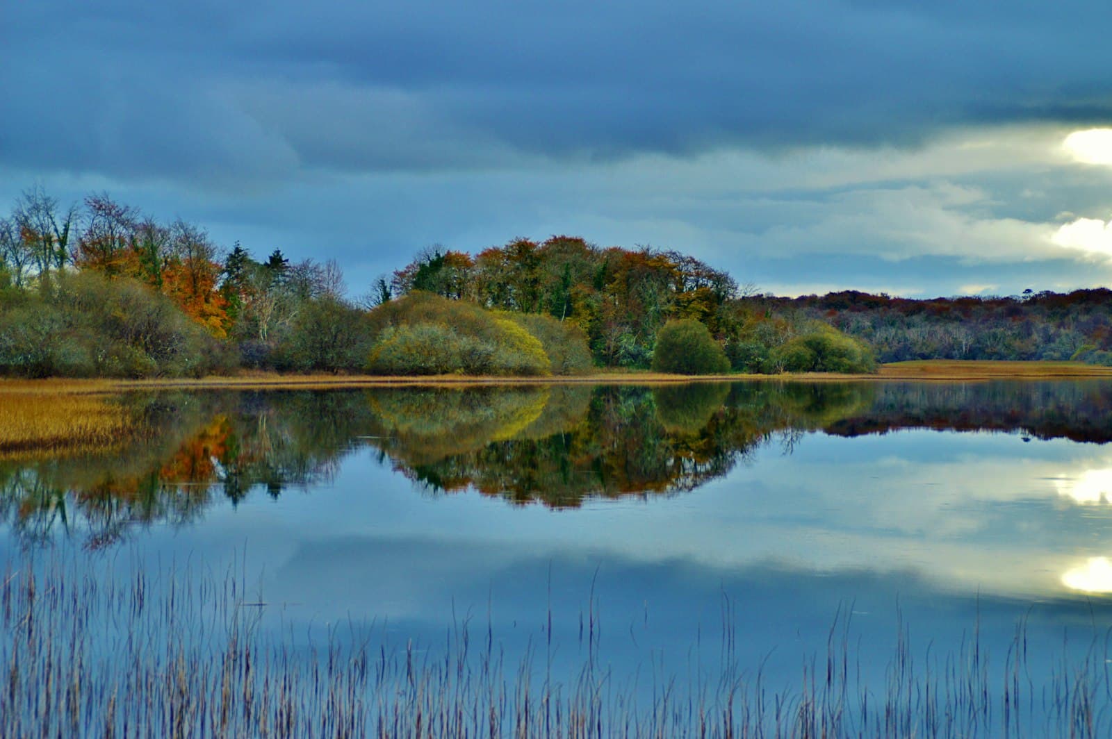 Bundoran — a body of water with trees around it