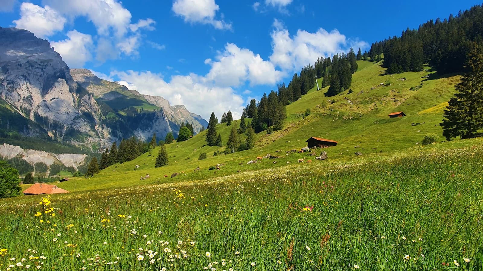 Burgdorf — a grassy field with a mountain in the background